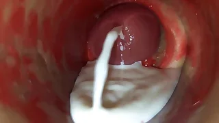 Sex Gay Porn 11